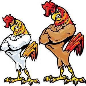 Angry fighting Chicken Cartoon.