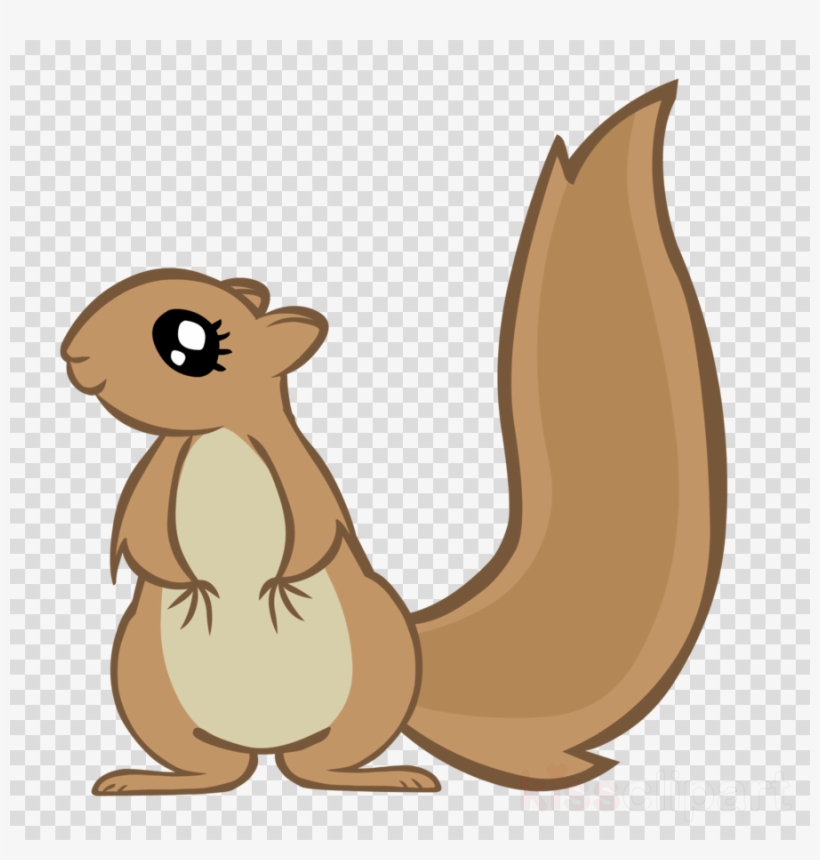 Cute Squirrel Png Clipart Squirrel Clip Art.