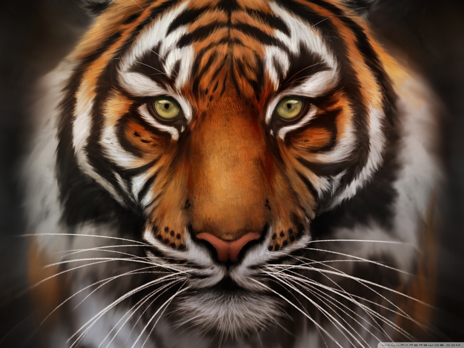 Free Tiger Face, Download Free Clip Art, Free Clip Art on.