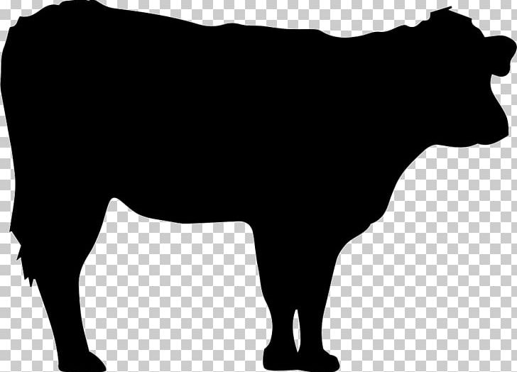 Jersey Cattle Angus Cattle Black Hereford Hereford Cattle PNG.