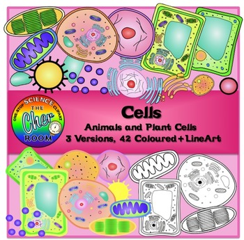 Plants and Animals Cells Clipart.