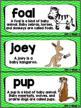 Kindergarten Reading Street Amazing Word Cards Animal Babies in Grasslands.