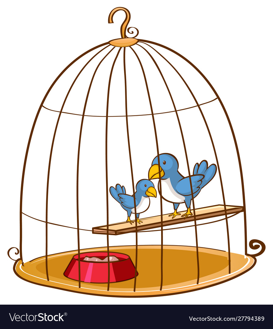 Two blue birds in cage.