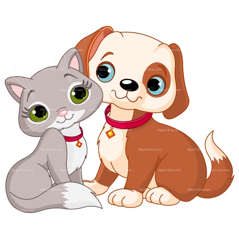 Animal cat clipart 20 free Cliparts | Download images on Clipground 2024