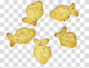 Animal Cracker transparent background PNG cliparts free download.