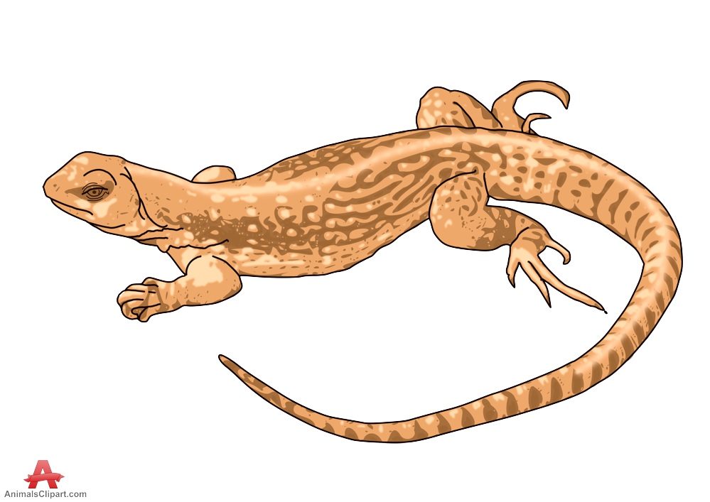 Free Zoology Cliparts, Download Free Clip Art, Free Clip Art.