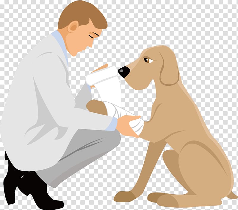 Puppy Cartoon Physician, cartoon animal doctor transparent.