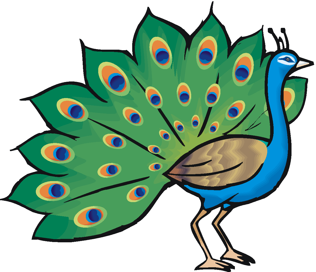 Free Peacock Clipart.