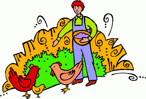 Animal feed clipart.