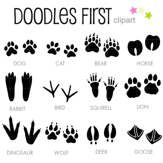 Download animal footprint clipart 20 free Cliparts | Download ...