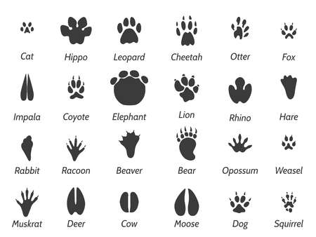 13,732 Animal Tracks Stock Illustrations, Cliparts And Royalty Free.