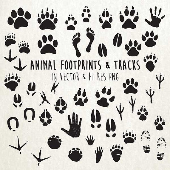 Animal Paw Print Clipart, Animal Tracks Clipart, Animal Tracks Clip.