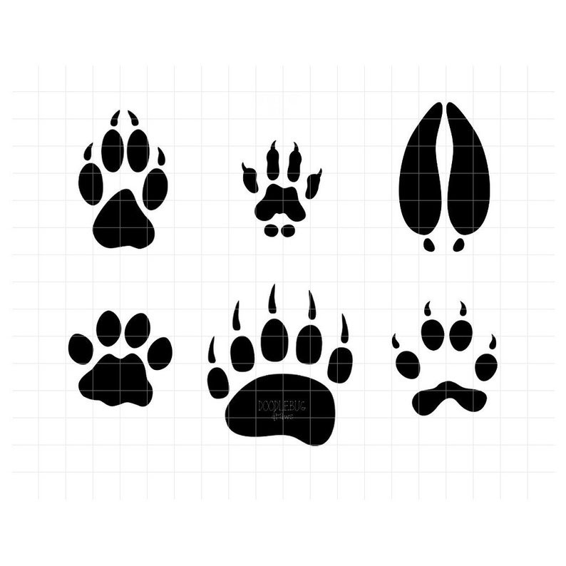 Download animal footprints png 20 free Cliparts | Download images ...