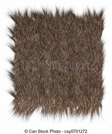 Animal fur clipart 20 free Cliparts | Download images on Clipground 2021