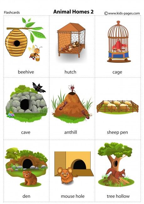 animal homes clipart 20 free Cliparts | Download images on Clipground 2022