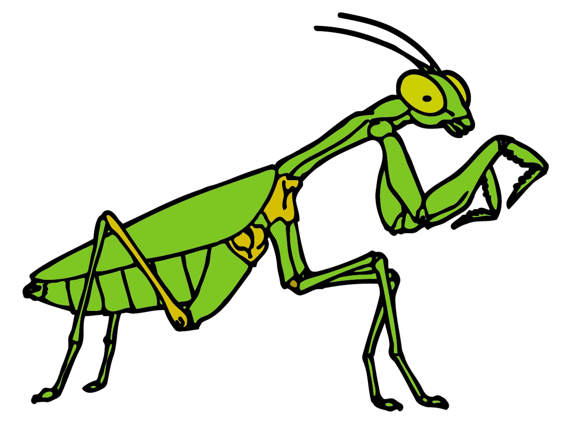 Cartoon Animal Clipart Insects 20 Free Cliparts Download Images On 