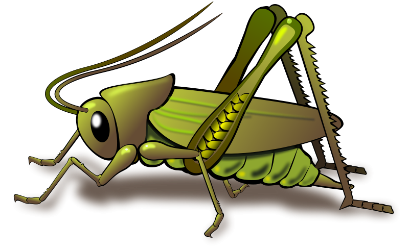 Free Insect Clipart Pictures.