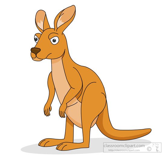 Kangaroo Clipart : kangaroo.