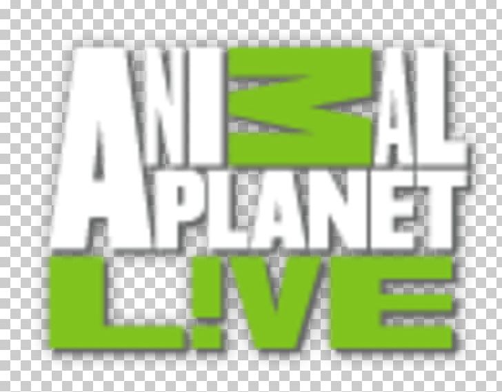 Animal Planet Live Discovery Channel Discovery PNG, Clipart.