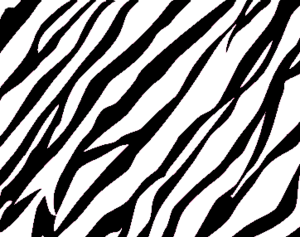 Zebra Print Background.