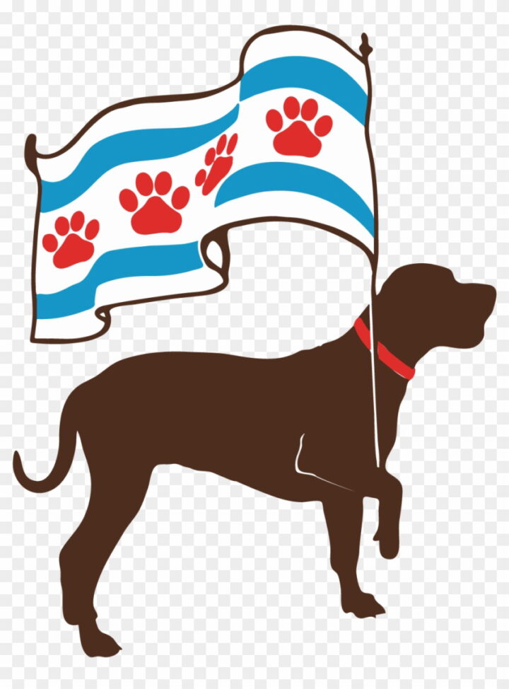 Lets Walk Chicago Canine Friendly Vest Dog Harness V Car.