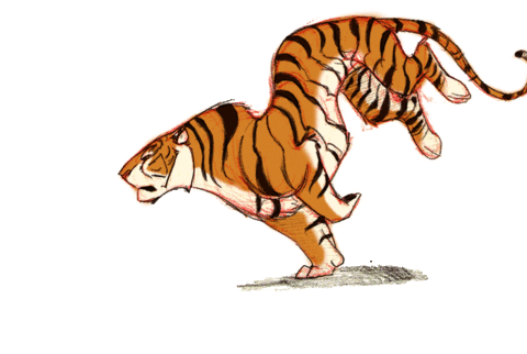 Tiger transparent run GIF.