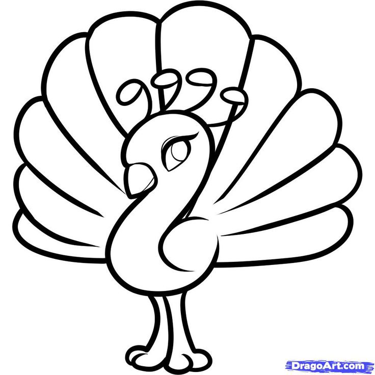 Free Line Drawings Of Animals, Download Free Clip Art, Free.