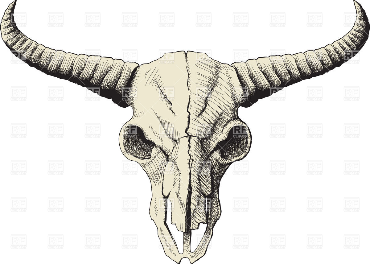 Animal Skull Clipart.