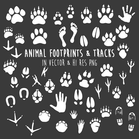 Animal Paw Print Clipart, Animal Tracks Clipart, Animal Tracks.