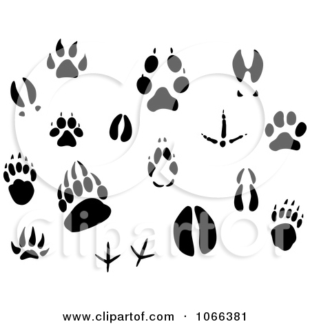 Animal track clipart 20 free Cliparts | Download images on Clipground 2021