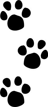 Animal tracks clipart transparent curved clipart images.