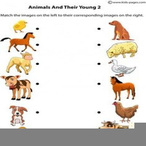 Clipart Images Of Animals And Their Young Ones.