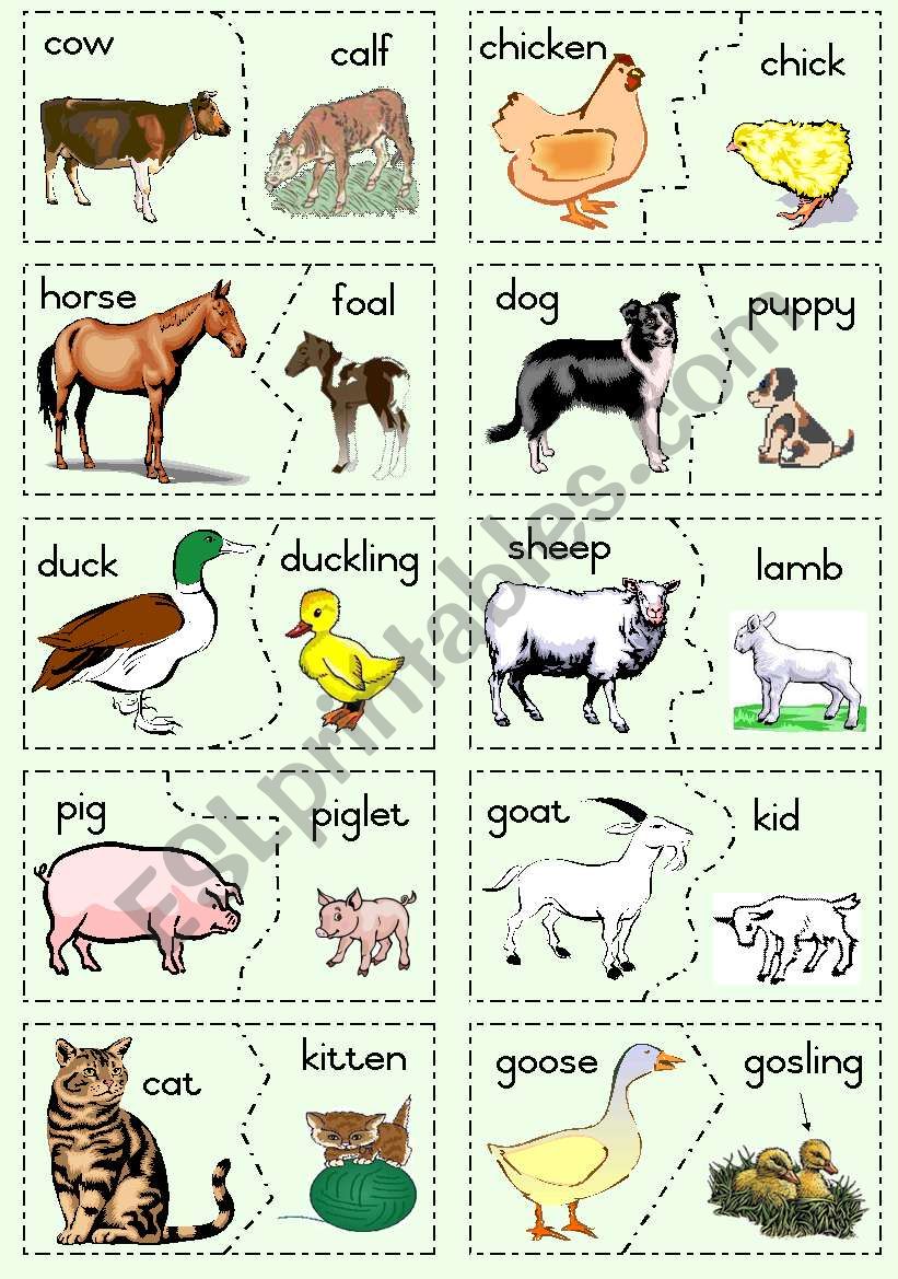 animals-and-their-young-clipart-10-free-cliparts-download-images-on
