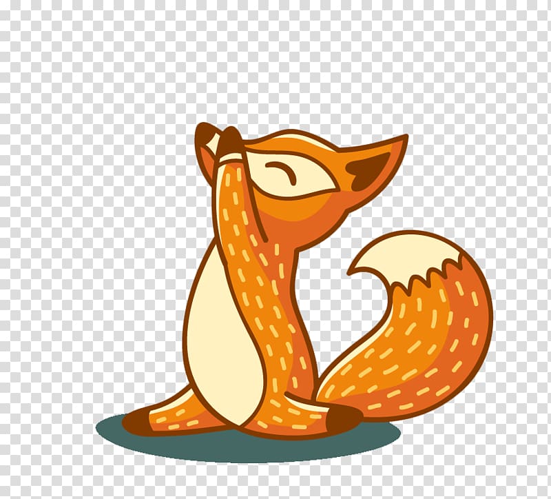 Red fox , Yoga , Fox doing yoga transparent background PNG.