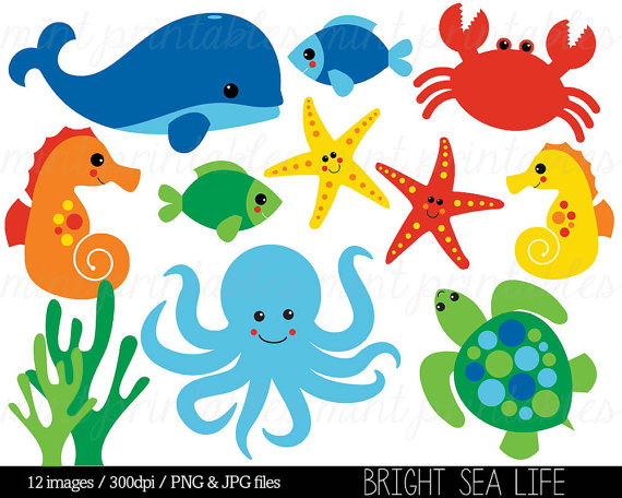 Sea Animal Clipart, Under the Sea, Baby Sea Creatures Clip.