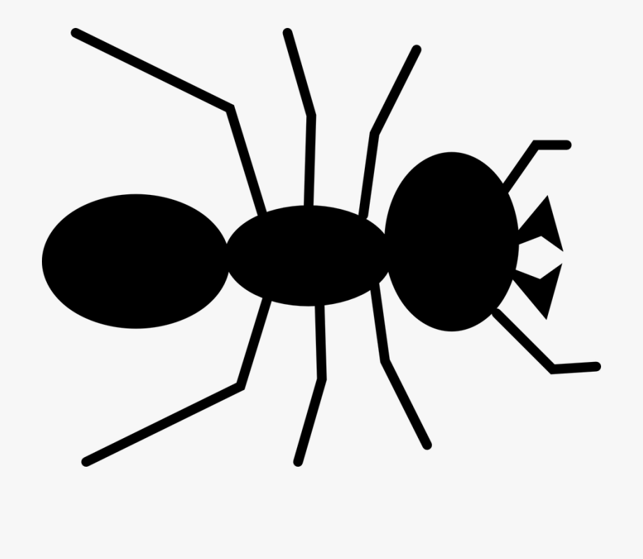 Animal Black, Cartoon, Ant, Bug, Insect, Animal.