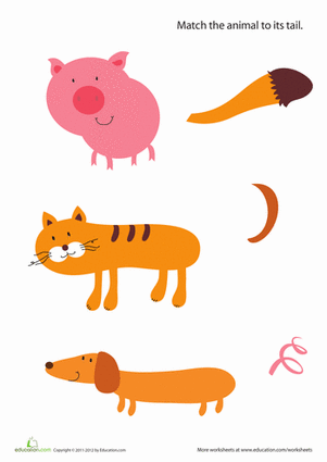 Animal Tails for Kids.
