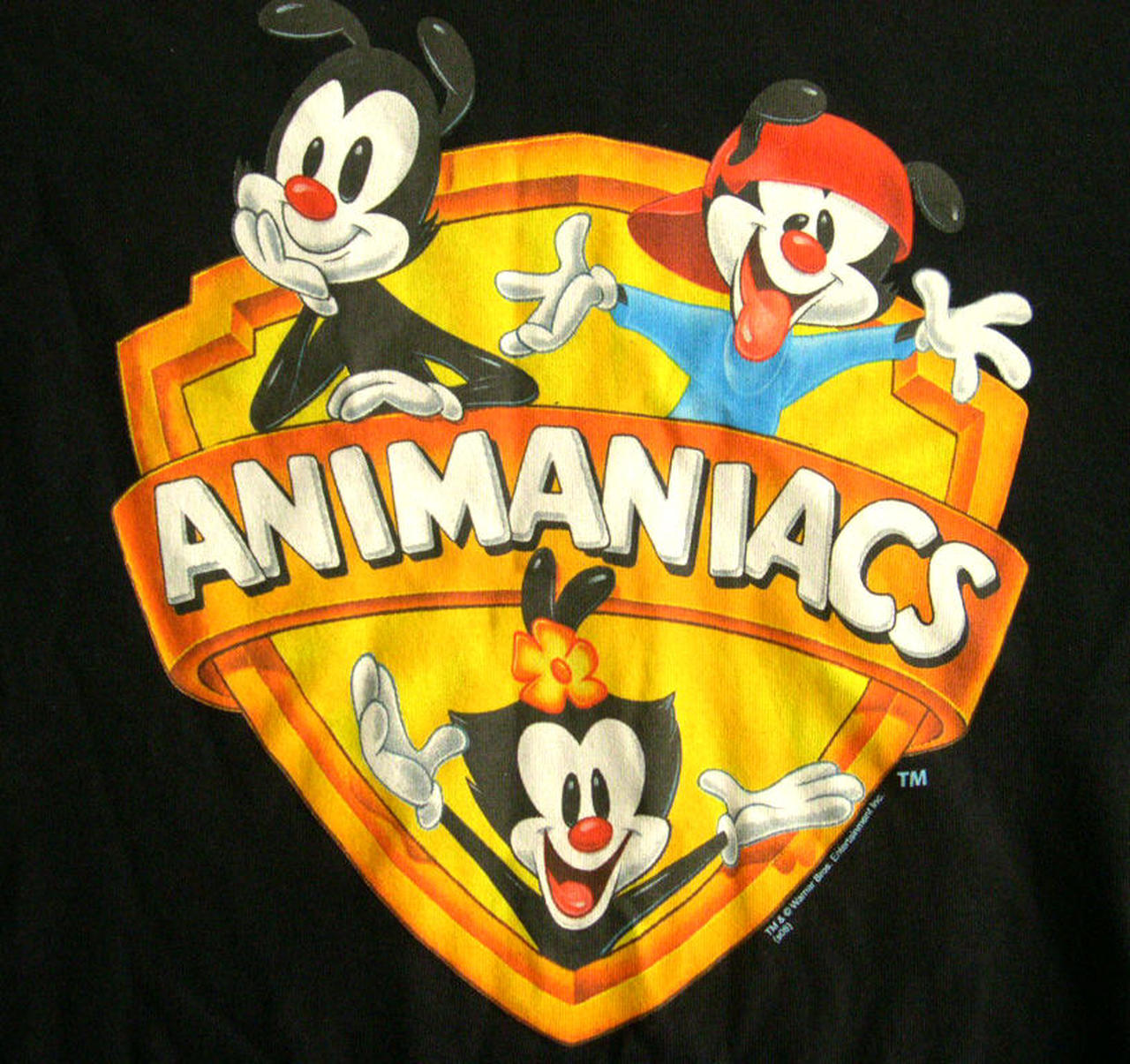 Animaniacs Logo Template