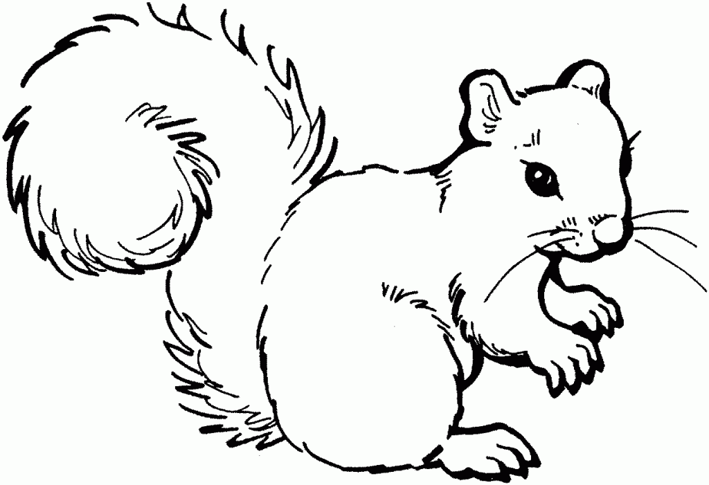 Free Cartoon Pictures Of Squirrels, Download Free Clip Art.