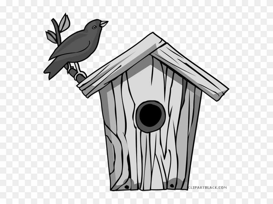 Animated Bird Feeder Clipart 10 Free Cliparts Download Images On
