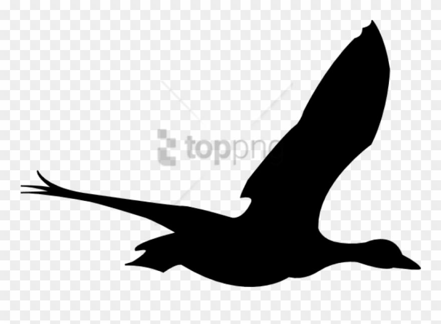 animated bird flying clipart 10 free Cliparts | Download images on