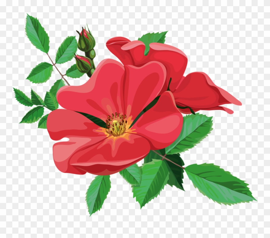 Jpg Library Library Png Flowers And.