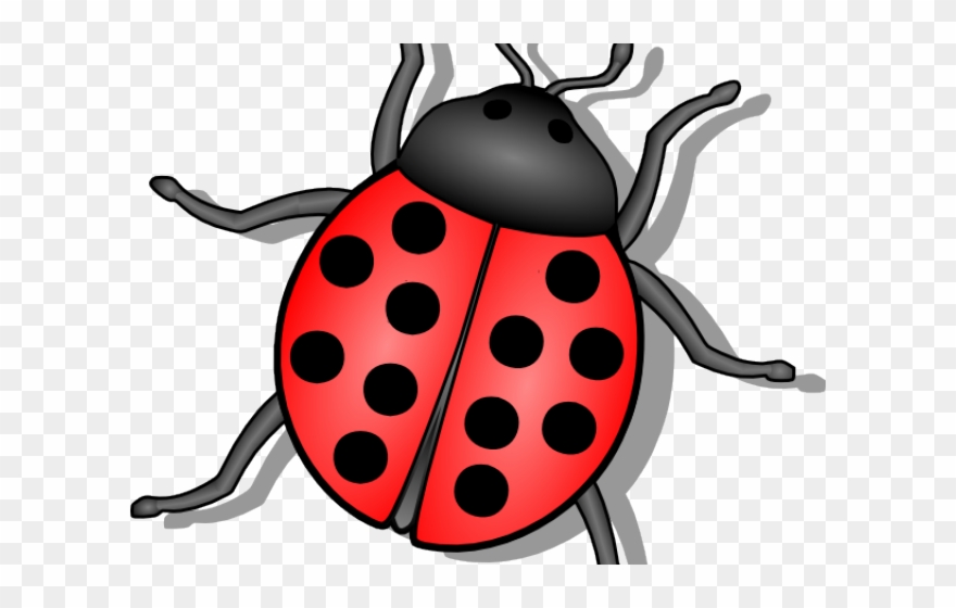 Beetle Clipart Animated.
