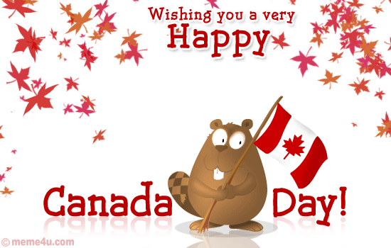 Canada day canada GIF.