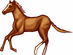 Horses Graphics.