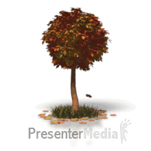 Animated Leaves Falling From Trees.