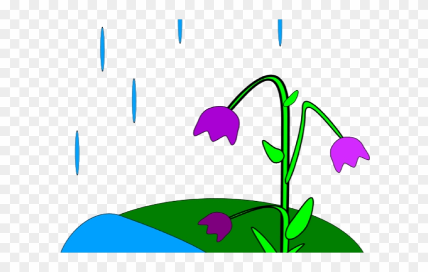 Animated Spring Clipart.