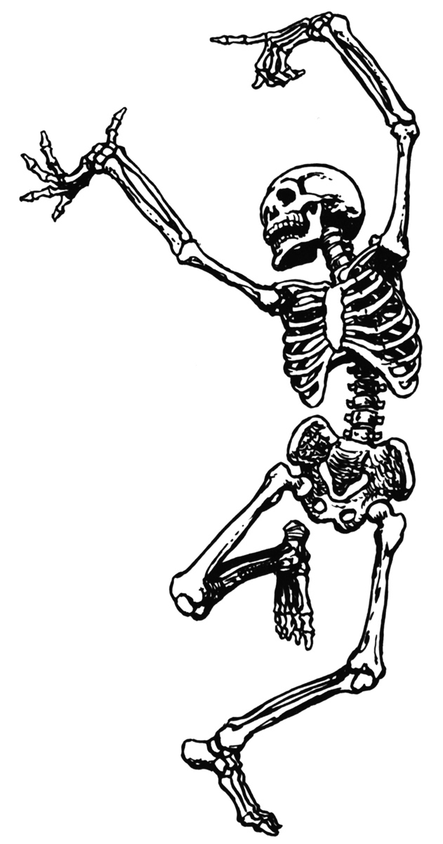 Free Picture Of Skeletons, Download Free Clip Art, Free Clip.