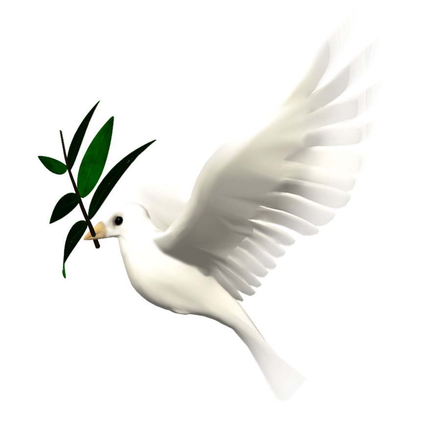 Animated Flying Dove Clipart 10 Free Cliparts Download Images On