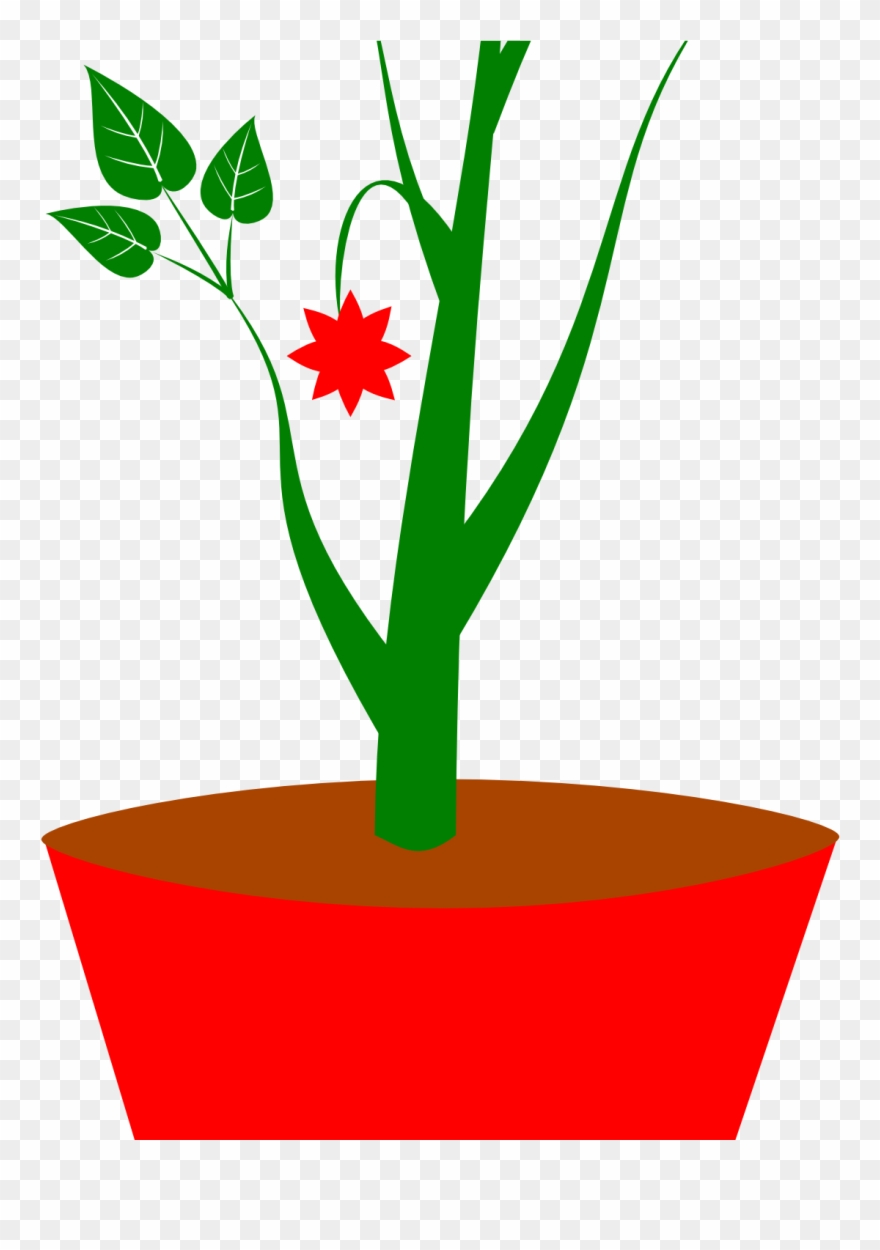 animated flower pot  clipart 10 free Cliparts Download 